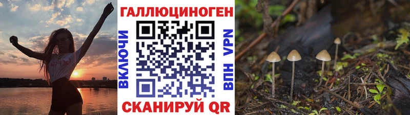 KRAKEN сайт  Бабаево  Псилоцибиновые грибы Magic Shrooms 